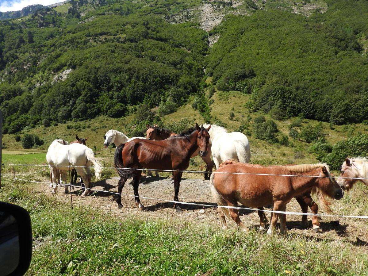 Gite Au Printemps Japonais, Petit Train De La Mure, Parc Des Ecrins Pierre-Chatel Esterno foto